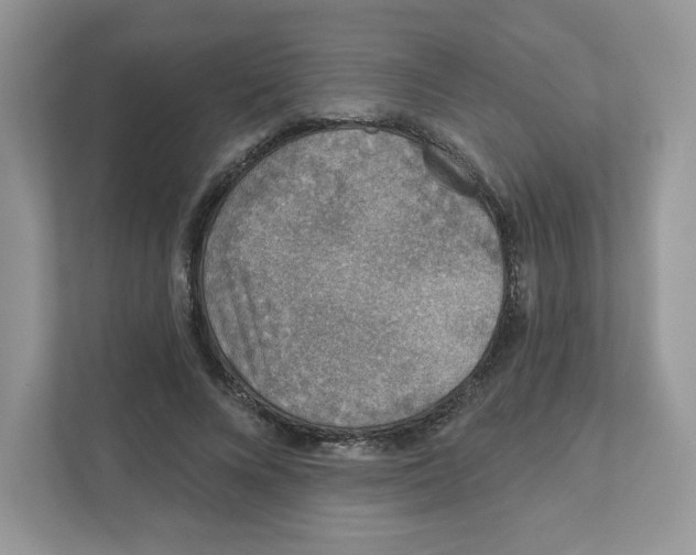 X0000110880688200907091422