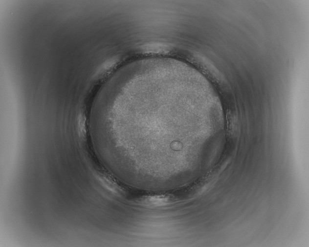 X0000110880692200907091422