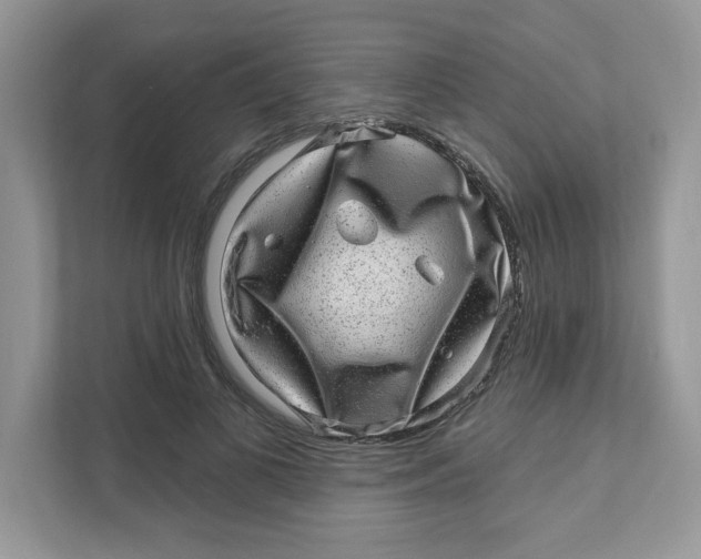 X0000110880693200907091422