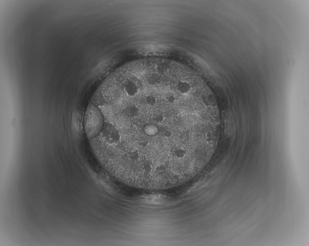 X0000110880695200907091422