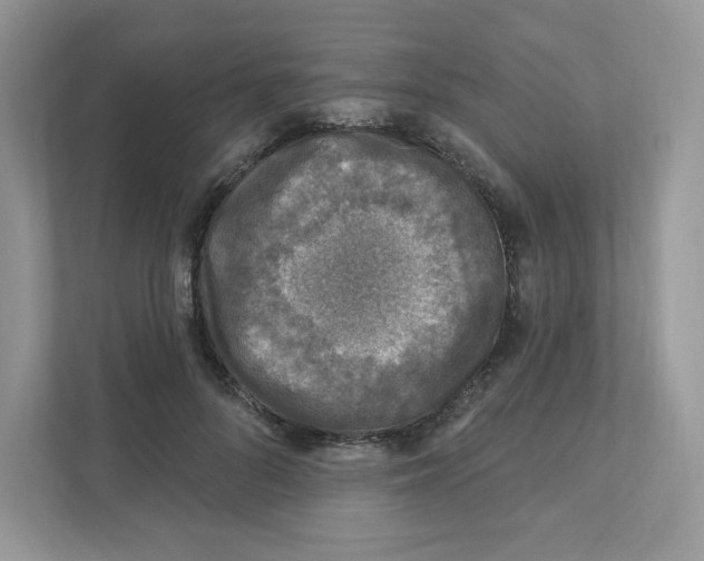 X0000110880696200907091422