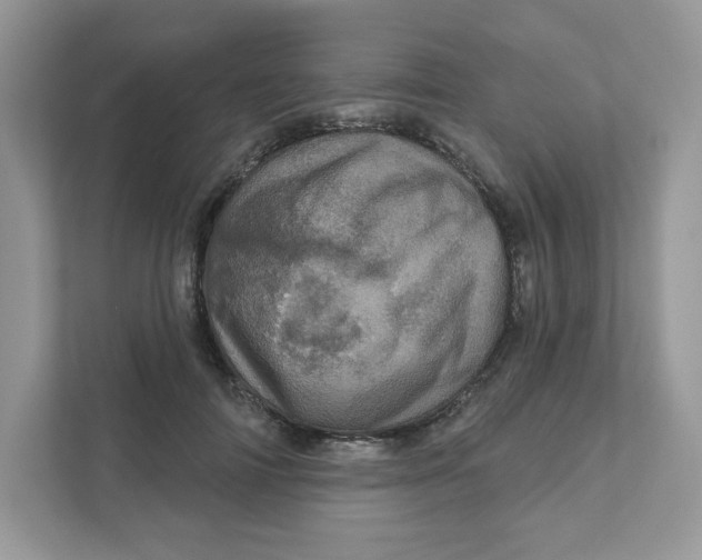 X0000110880698200907091422