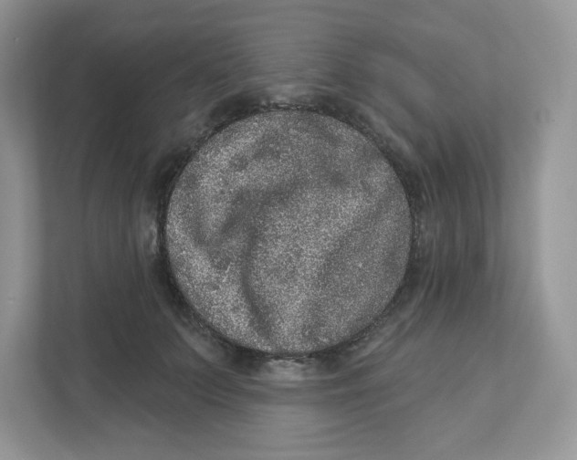 X0000110880703200907091421