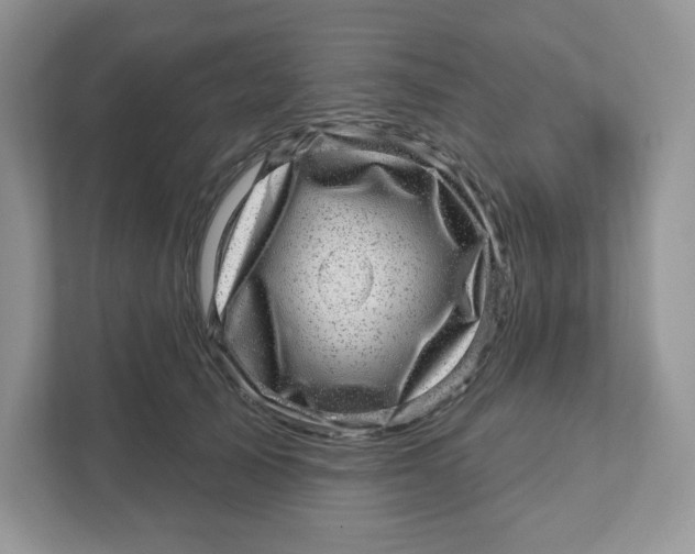 X0000110880705200907091421