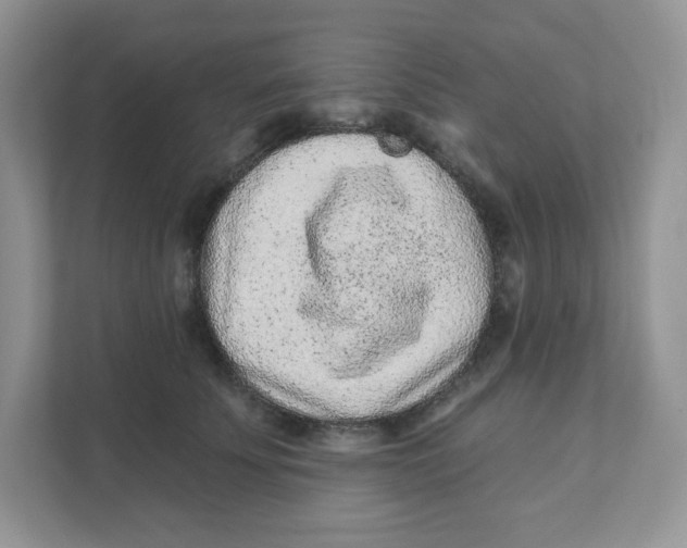 X0000110880707200907091421