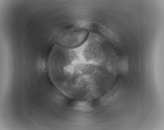 X0000110880709200907091421