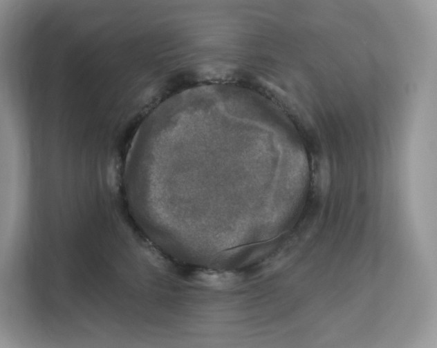 X0000110880712200907091421