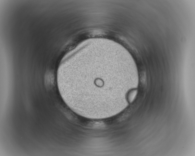 X0000110880715200907091421