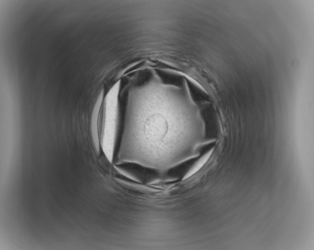 X0000110880716200907091421