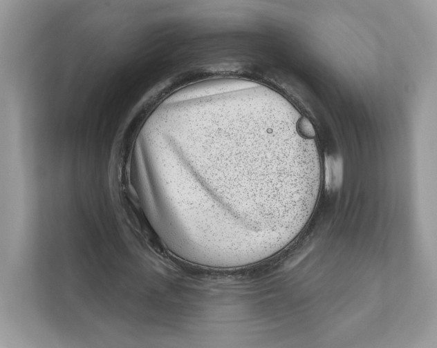 X0000110880723200907091421