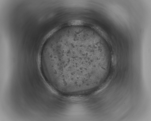 X0000110880725200907091421