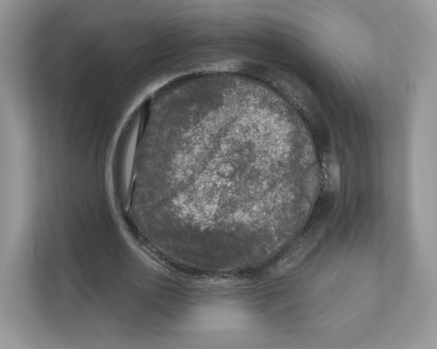 X0000110880726200907091421