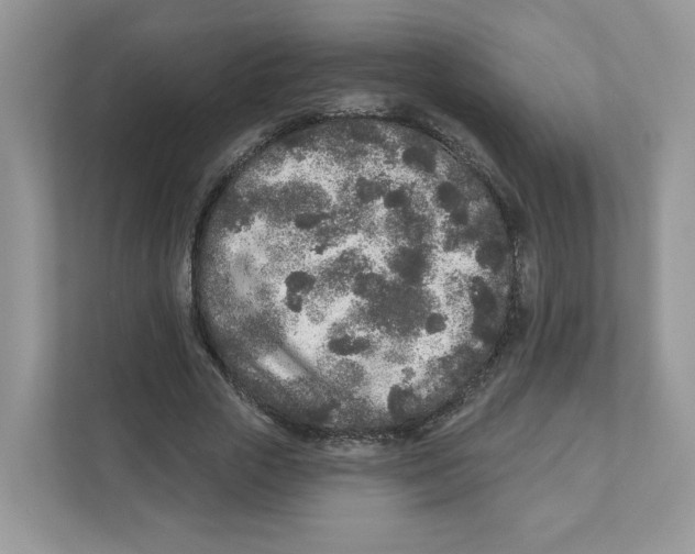 X0000110880729200907091421