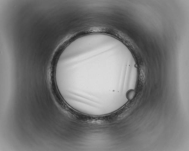 X0000110880730200907091421