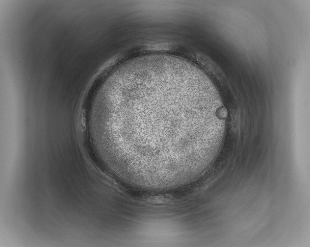 X0000110880731200907091421