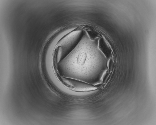 X0000110880732200907091421