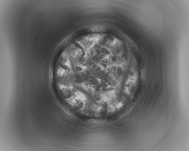 X0000110880733200907091421