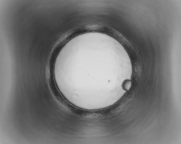 X0000110880734200907091421