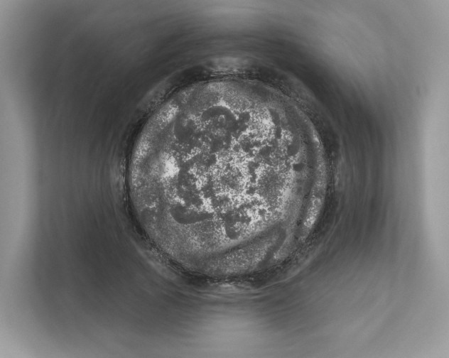 X0000110880737200907091421