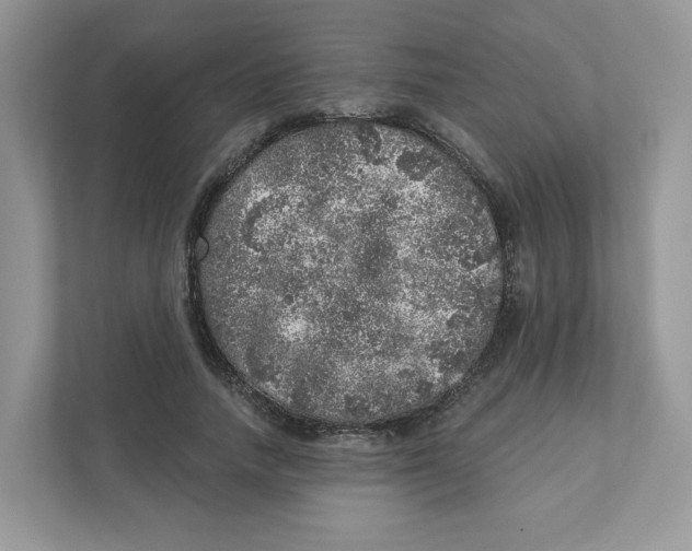 X0000110880738200907091421