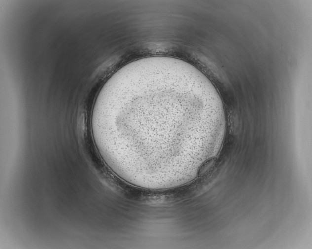 X0000110880740200907091421