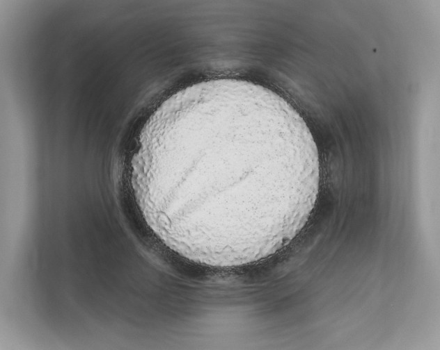 X0000110880742200907091421