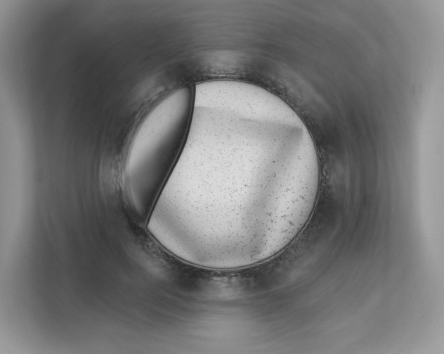 X0000110880744200907091421