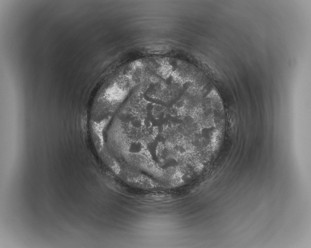 X0000110880745200907091421