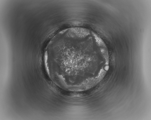 X0000110880746200907091421