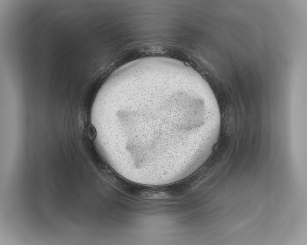 X0000110880747200907091421