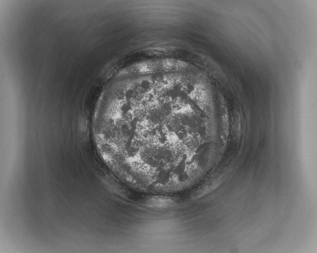 X0000110880749200907091421