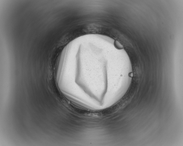 X0000110880751200907091421