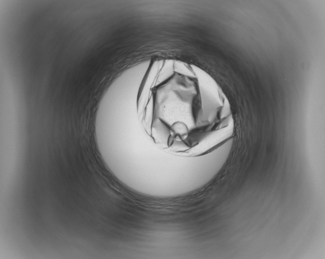 X0000110880752200907091421