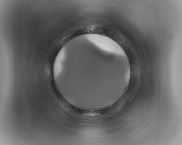 X0000110880754200907091421