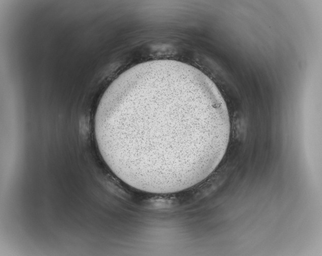 X0000110880756200907091421