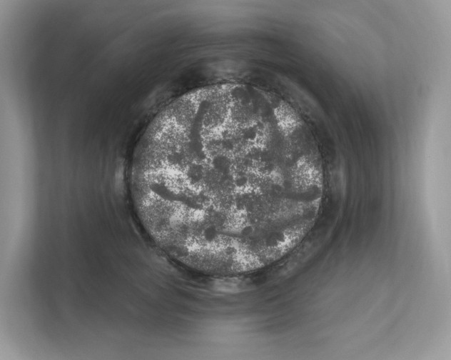 X0000110880757200907091421