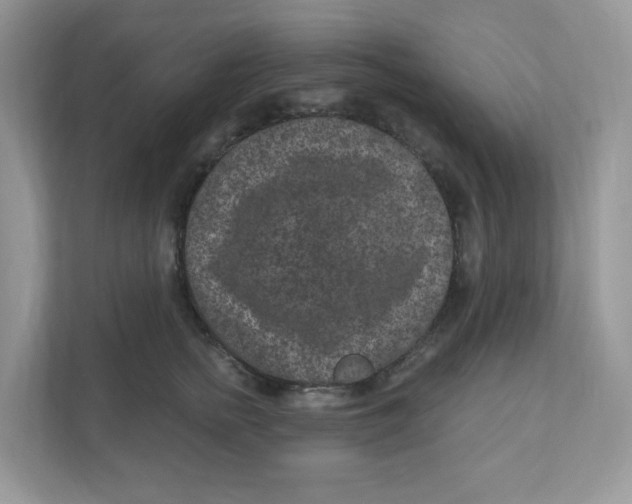 X0000110880758200907091421