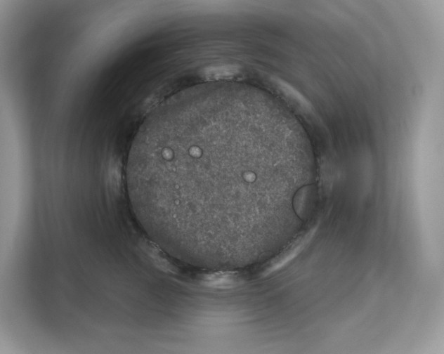 X0000110880761200907091421