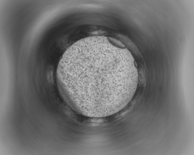 X0000110880762200907091421