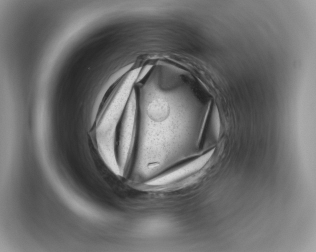 X0000110880764200907091421