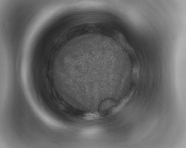 X0000110880765200907091421