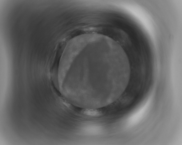 X0000110880767200907091421