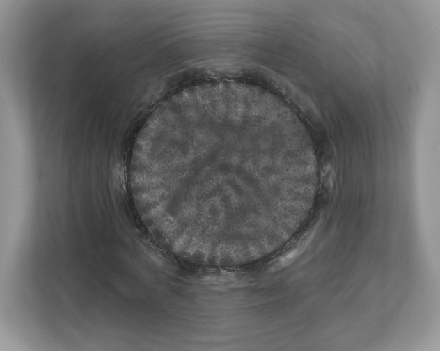 X0000110880772200907091421