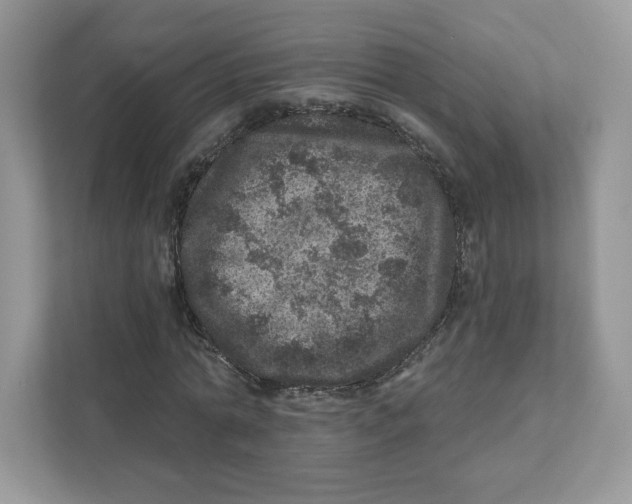 X0000110880774200907091421