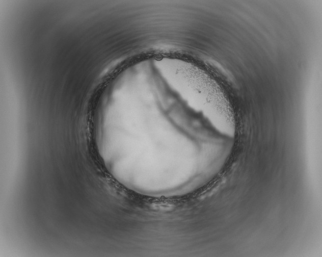 X0000110880776200907091420