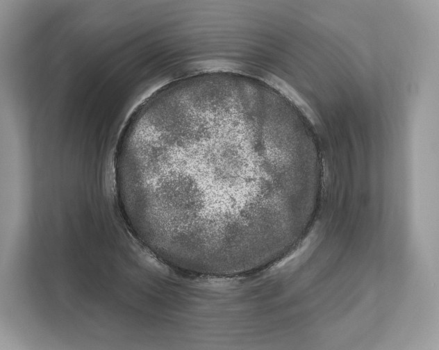 X0000110880782200907091420