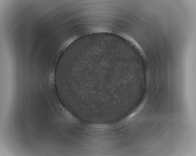 X0000110880785200907091420