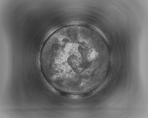 X0000110880794200907091420