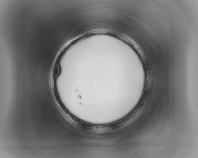 X0000110880795200907091420