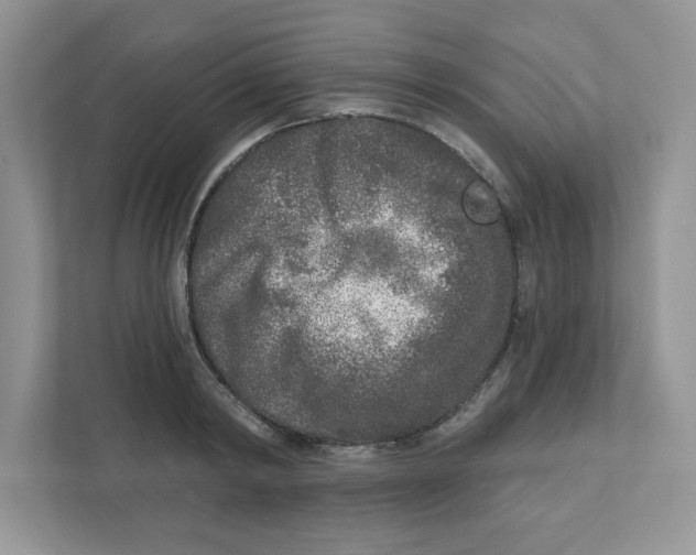 X0000110880798200907091420